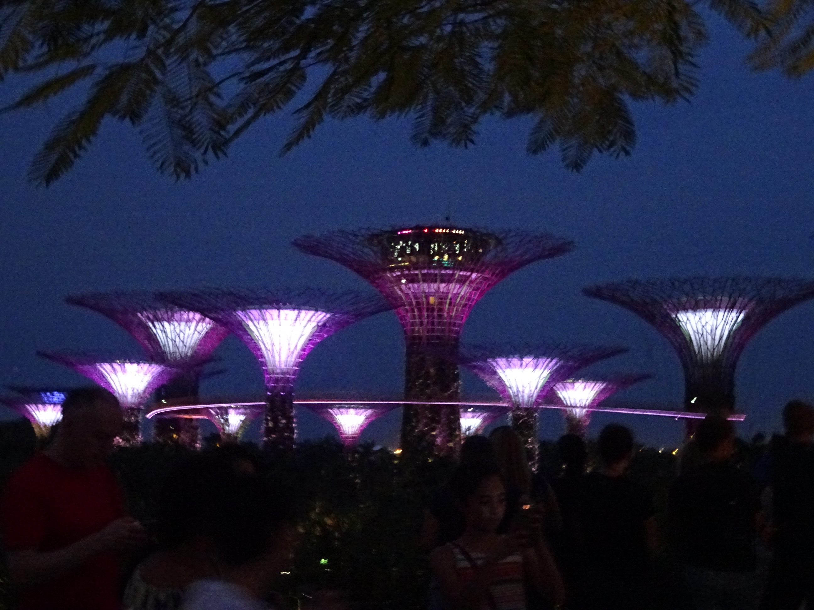 シンガポールのガーデンズバイザベイの夜のショー