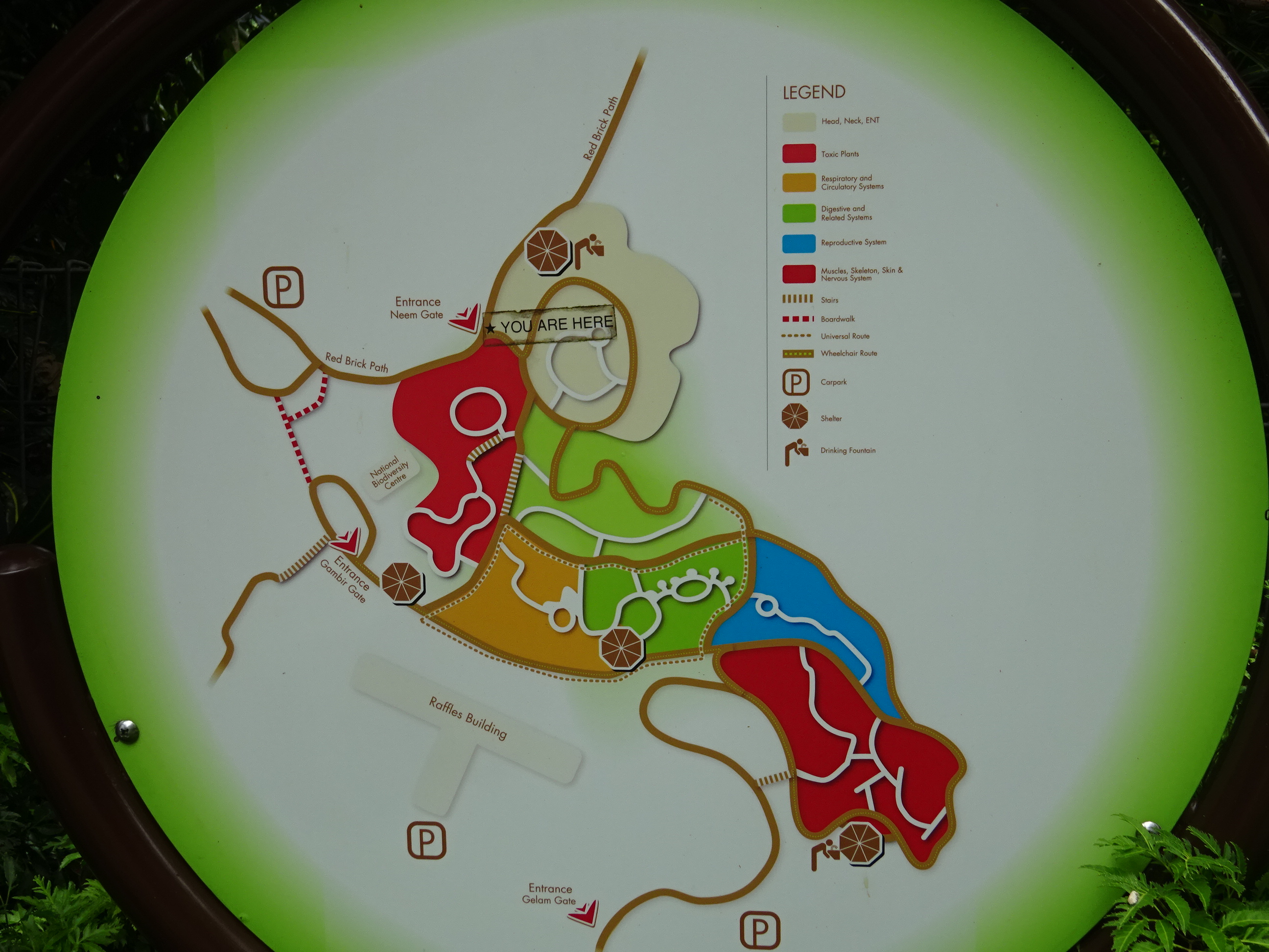 シンガポール植物園（ボタニック　ガーデンズ）の全体の地図