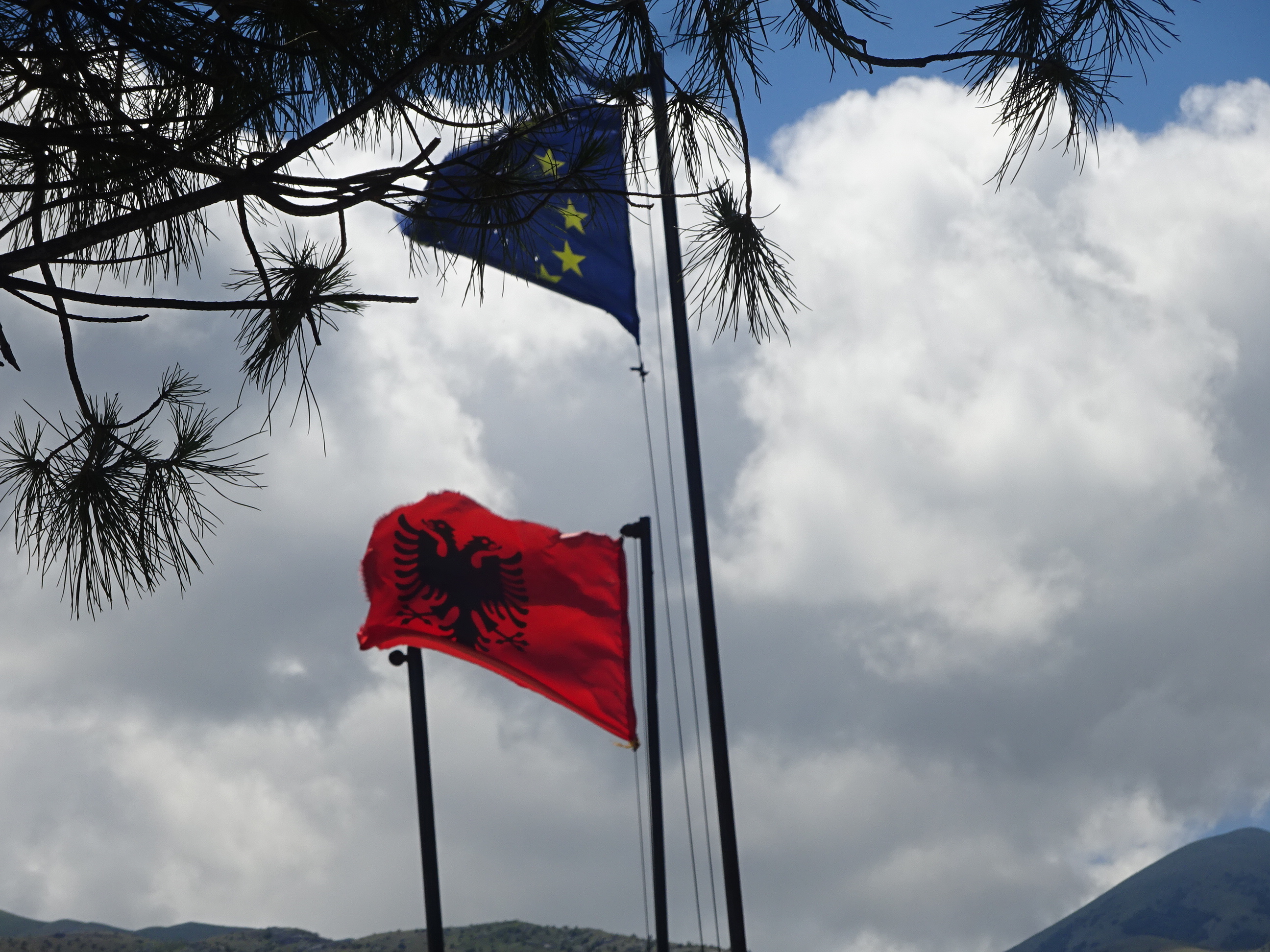 アルバニアの国旗は秘密結社みたいでカッコイイ☆